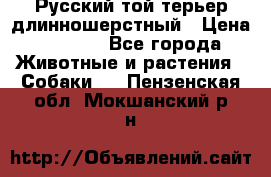 Русский той-терьер длинношерстный › Цена ­ 7 000 - Все города Животные и растения » Собаки   . Пензенская обл.,Мокшанский р-н